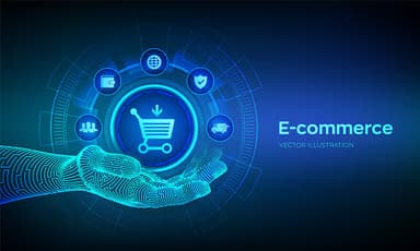 Portfolio Perfection