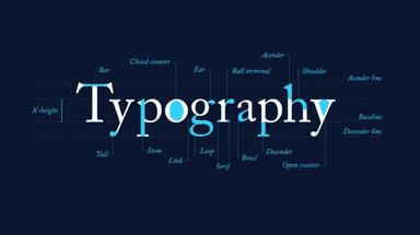 Brand Typography Guidelines